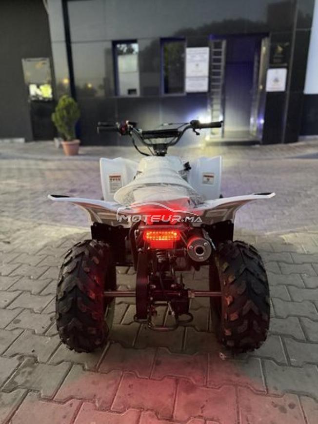 Quad LPR TROOPER 110