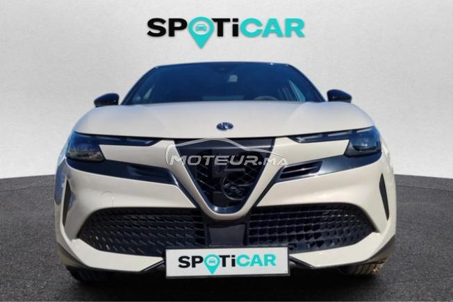 Stellantis - ALFA ROMEO Junior - 2024