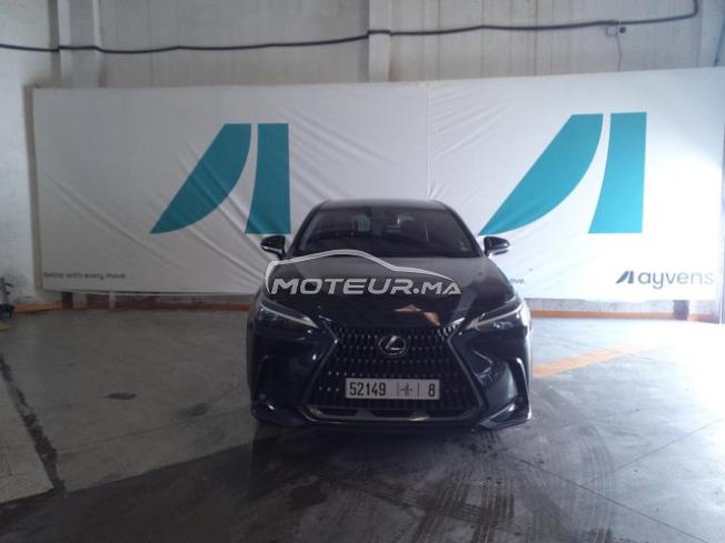 Lexus NX 350h Hybride BUSINESS BVA 2022