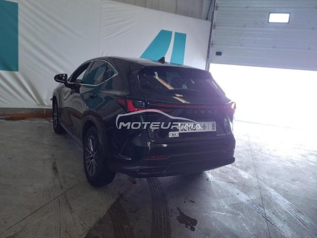 Lexus NX 350h Hybride BUSINESS BVA 2022