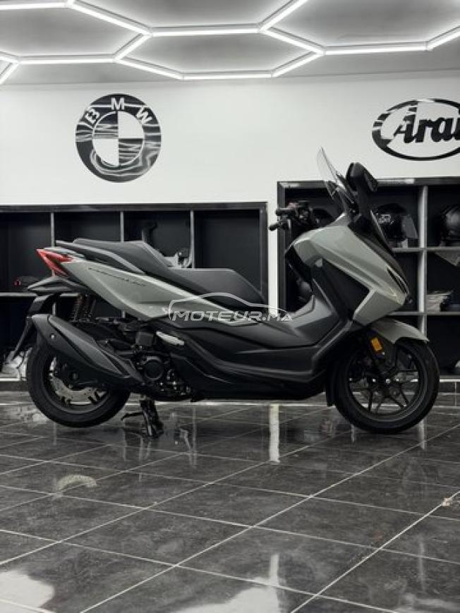 Honda Forza 350 Gris Nardo 2026 - DERKAOUI MOTO