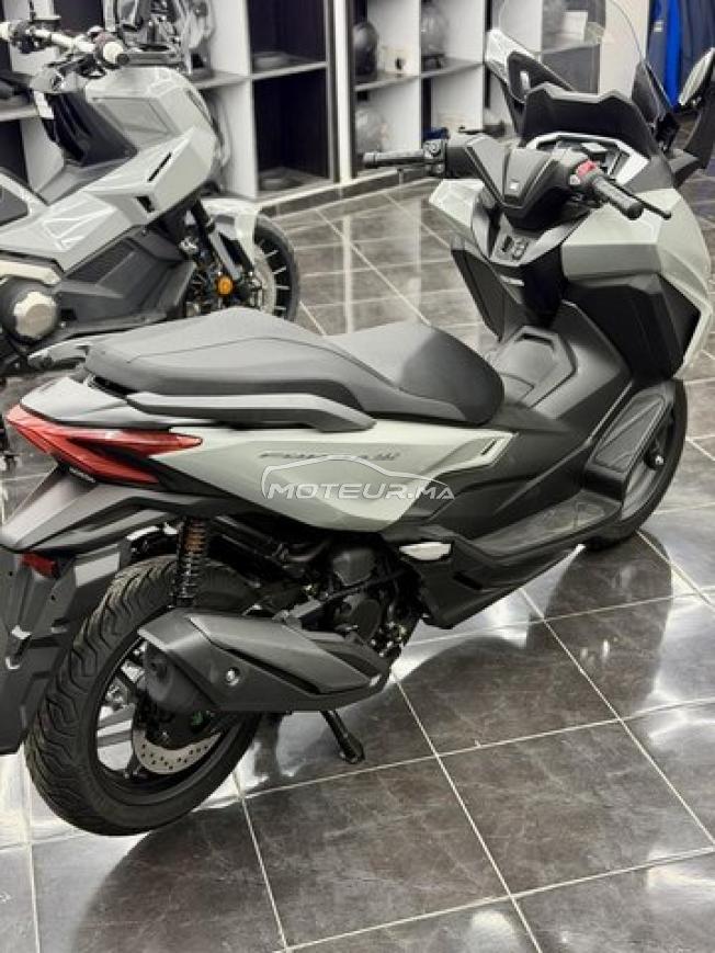 Honda Forza 350 Gris Nardo 2026 - DERKAOUI MOTO