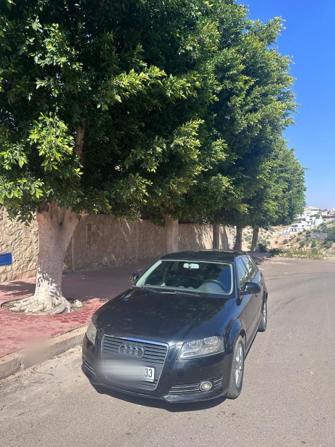 Audi A3 sportback 1.9 tdi model 2010