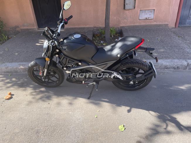 Cimatti Monstre Evo 4