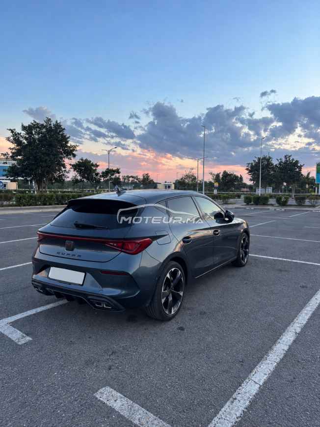 Cupra Leon Carbone Édition full Options