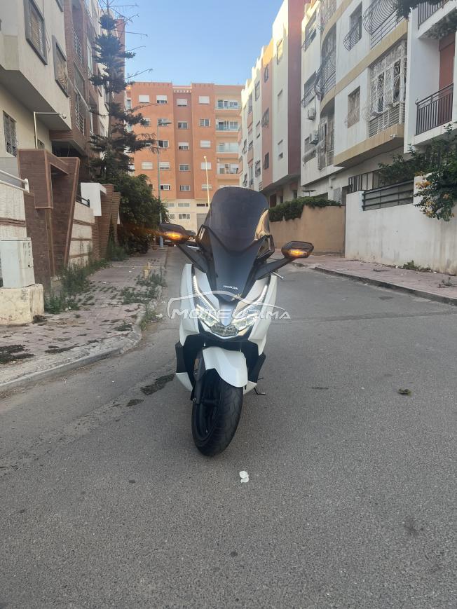 Honda Forza 300 2021 état irréprochable