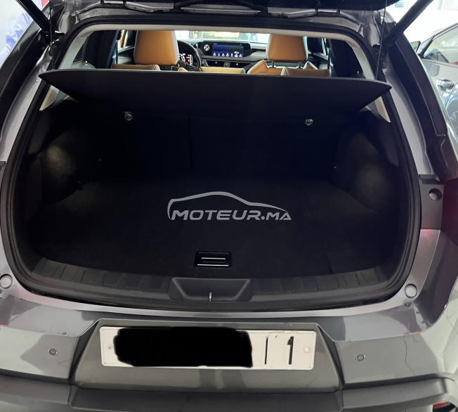 Lexus UX 250h Hybride Automatique – 110 000 km – Entretien Lexus