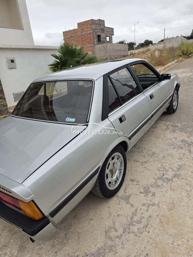 Peugeot 505 GTI collection