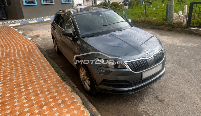 Skoda karoq 2019