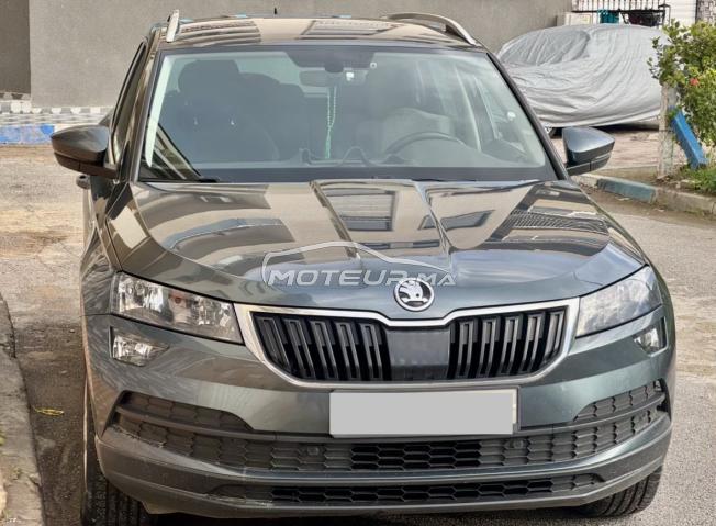 Skoda karoq 2019