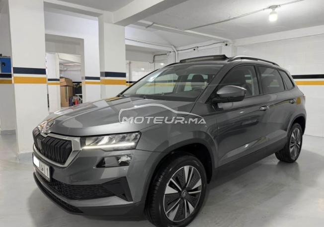 Skoda Karoq fin 2025