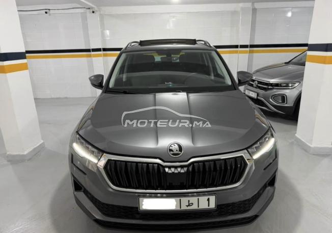 Skoda Karoq fin 2025