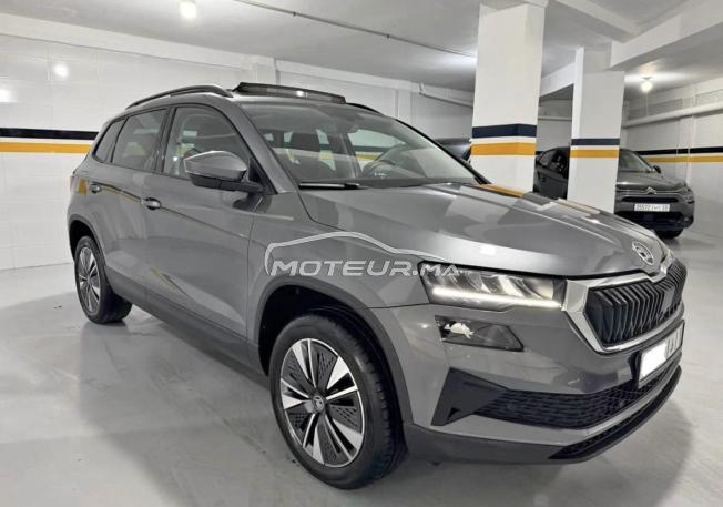 Skoda Karoq fin 2025