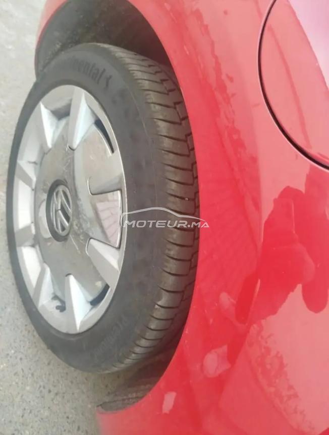 Belle coccinelle beetle