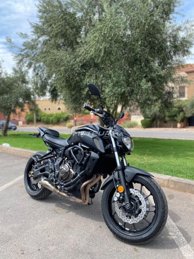 Mt 07 2020 deou 2024