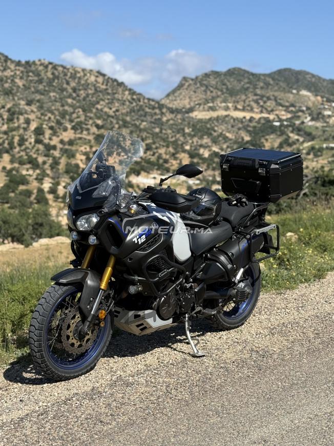 Super tenere 1200