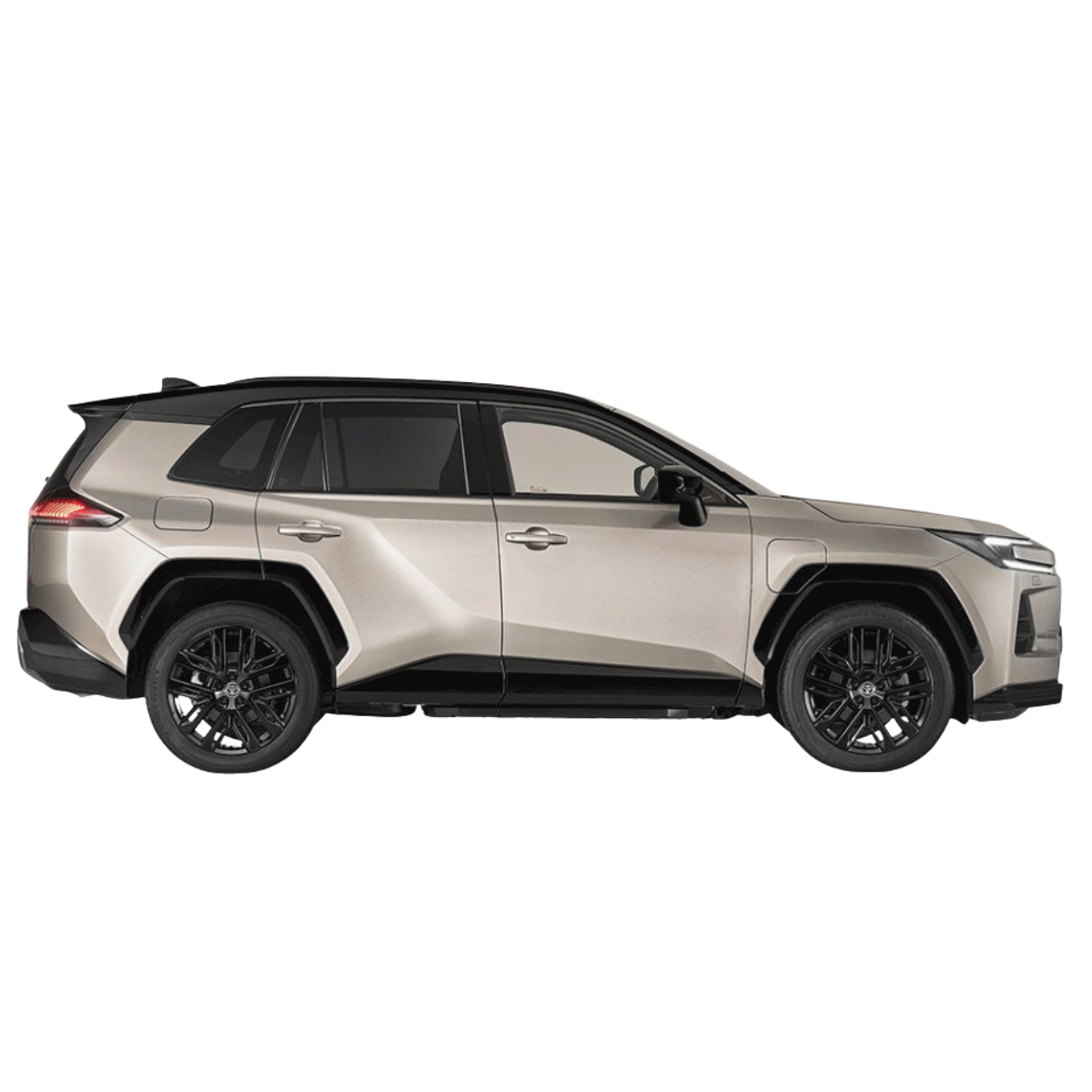 RAV-4 image