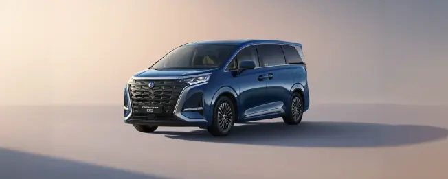 image DENZA D9 