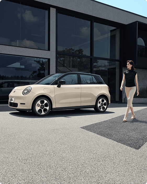 image jac E30X 
